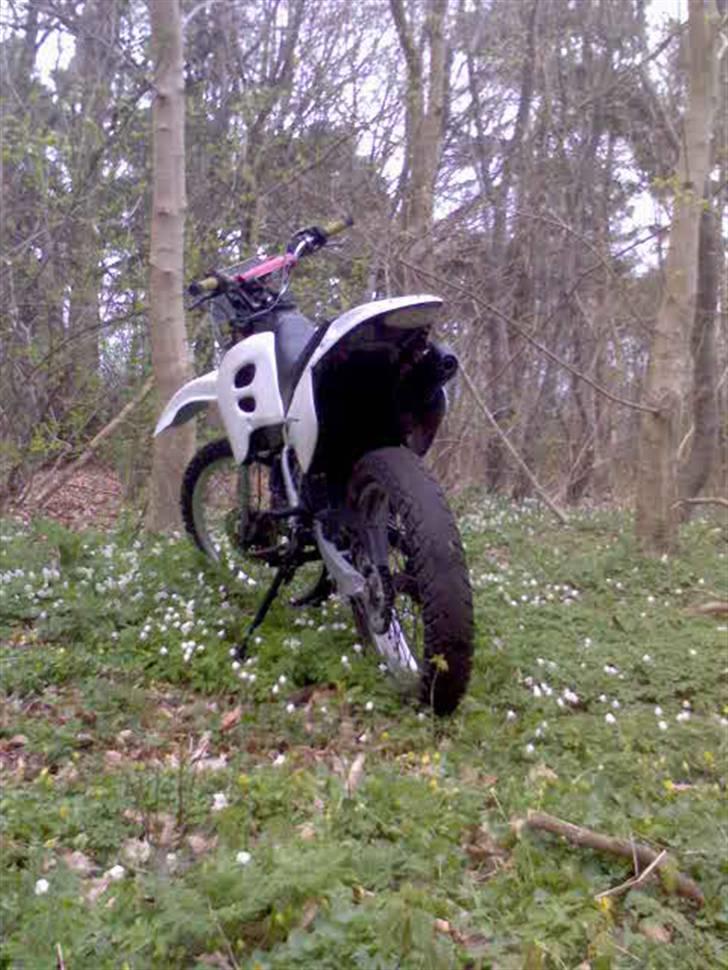 Suzuki Rmx solgt billede 4