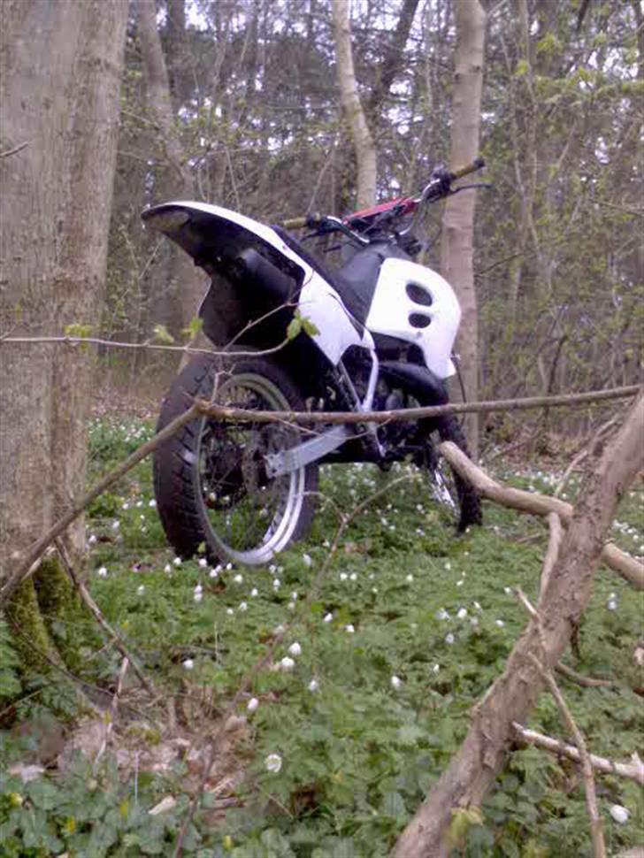 Suzuki Rmx solgt billede 5