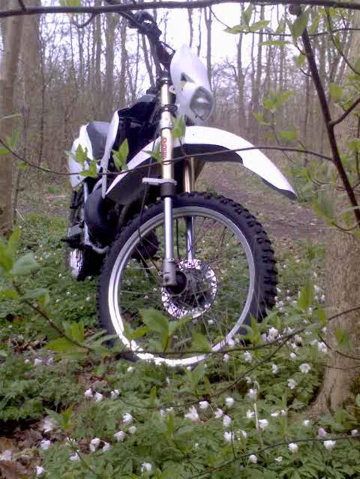 Suzuki Rmx solgt billede 9