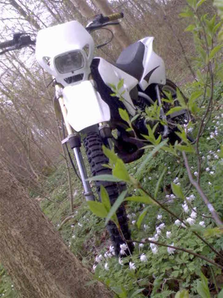 Suzuki Rmx solgt billede 10