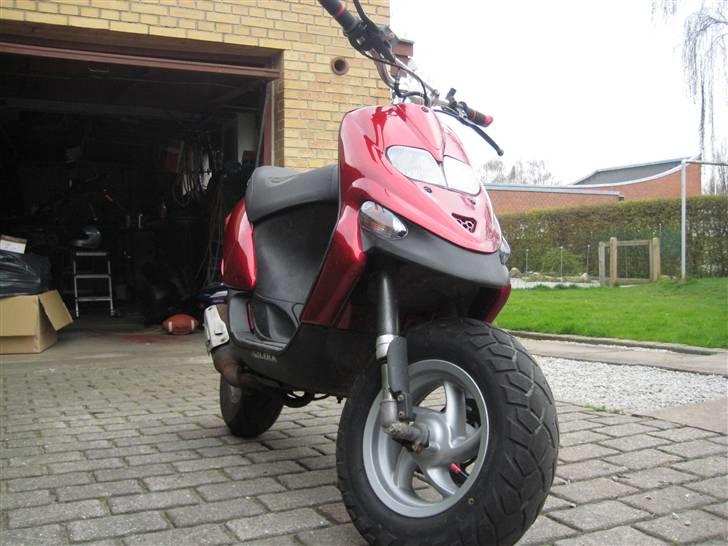 Gilera stalker byttet billede 1