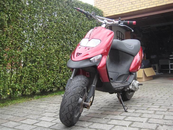 Gilera stalker byttet billede 2