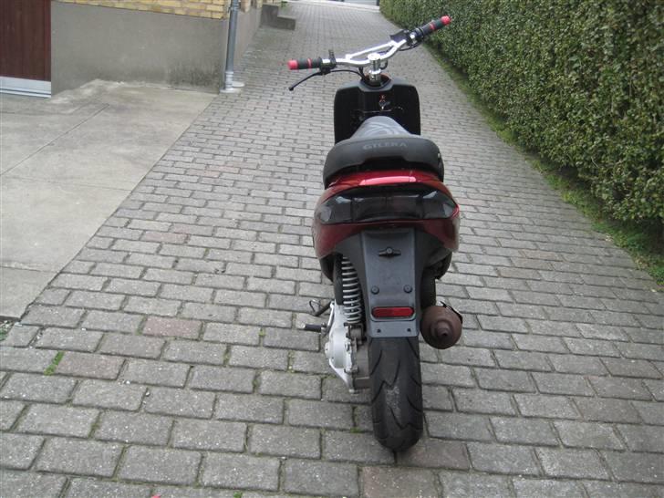 Gilera stalker byttet billede 3
