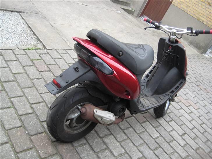 Gilera stalker byttet billede 4