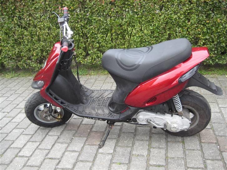 Gilera stalker byttet billede 5