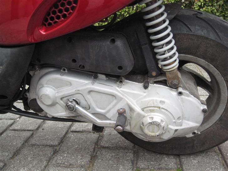 Gilera stalker byttet billede 7