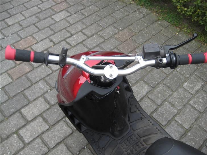 Gilera stalker byttet billede 8