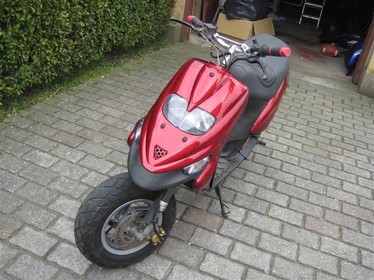 Gilera stalker byttet billede 9
