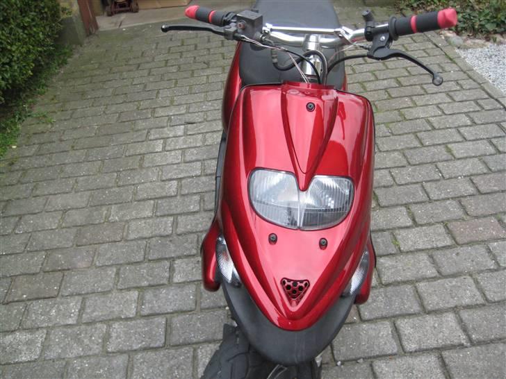 Gilera stalker byttet billede 10