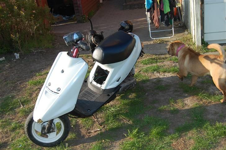 Yamaha Jog fs evo ac solgt billede 10