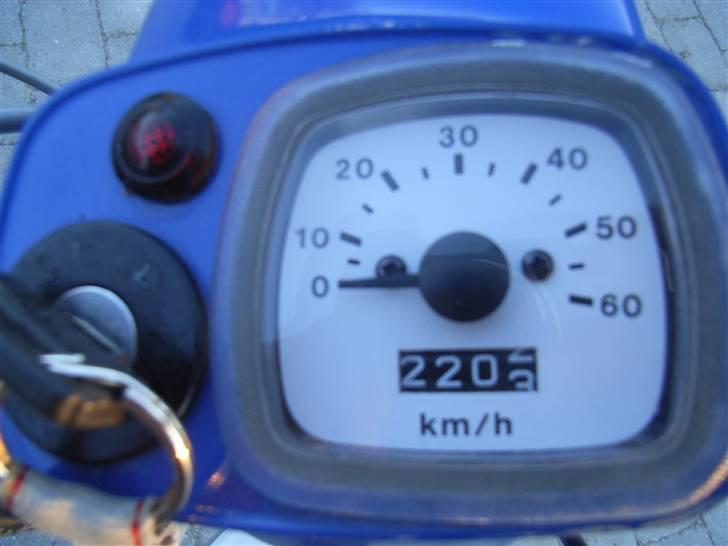 Suzuki FZ50 SOLGT billede 13