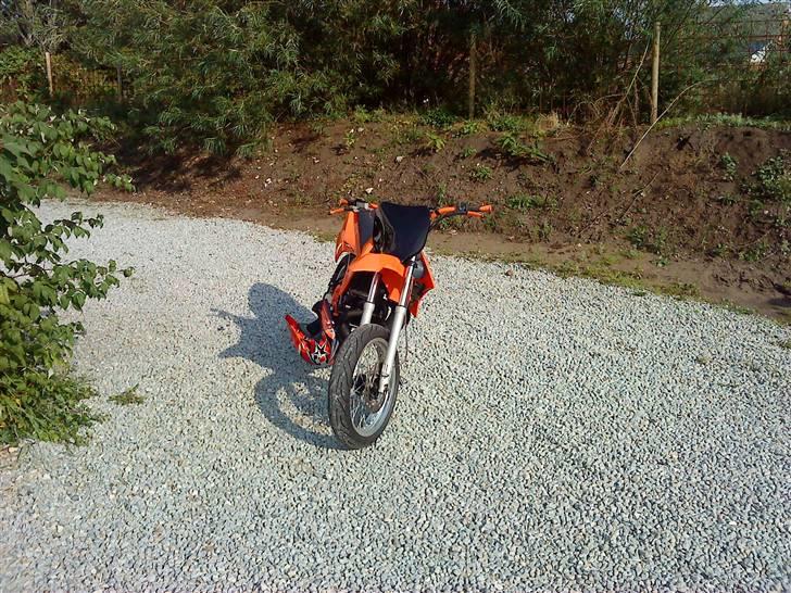 Derbi senda pata negra billede 1