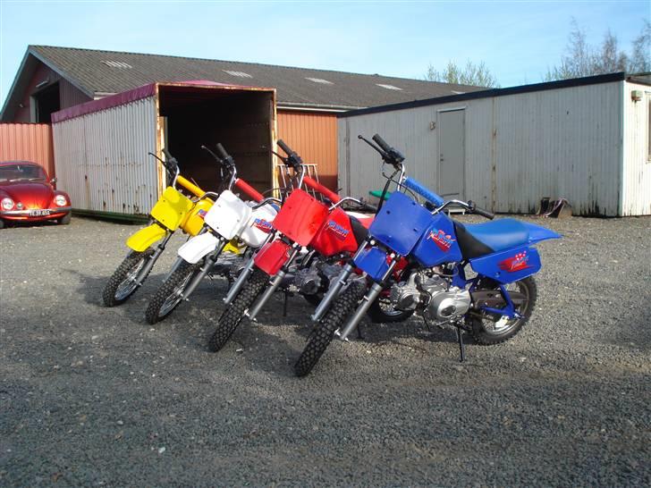 MiniBike 70ccm blueberry  billede 10