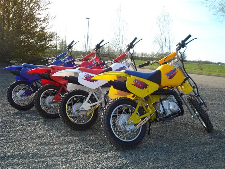 MiniBike 70ccm blueberry  billede 11