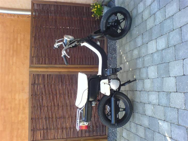 Suzuki                fz50 solgt billede 4