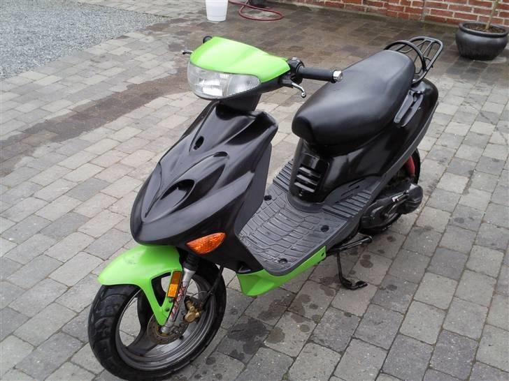 Adly silverfox billede 1