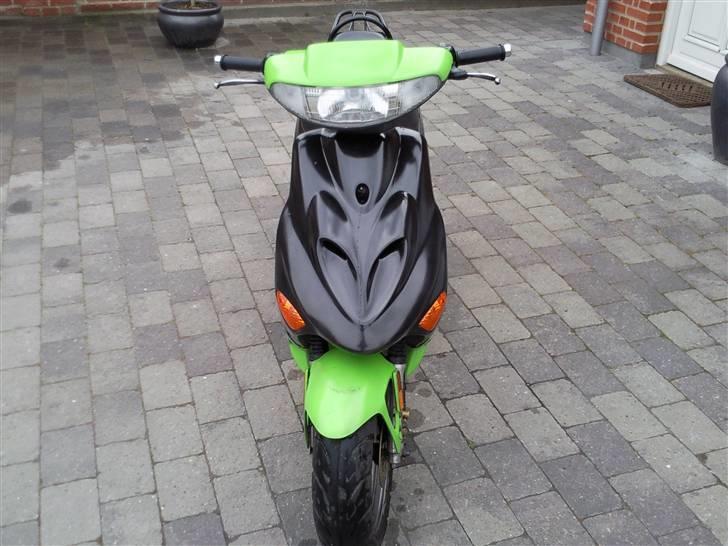 Adly silverfox billede 3