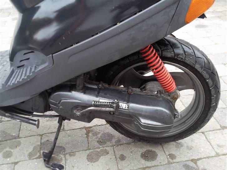 Adly silverfox billede 5