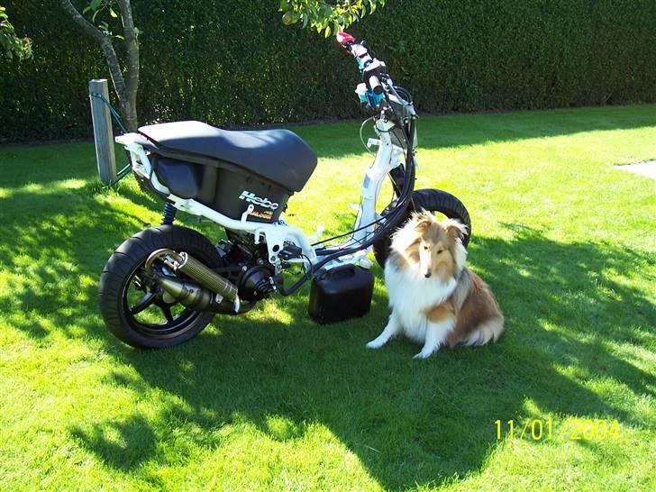 Aprilia Rally ¨¨18.41¨¨ billede 11