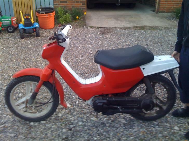 Honda Wallaroo  (solgt) billede 1