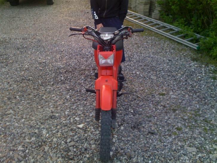 Honda Wallaroo  (solgt) billede 2