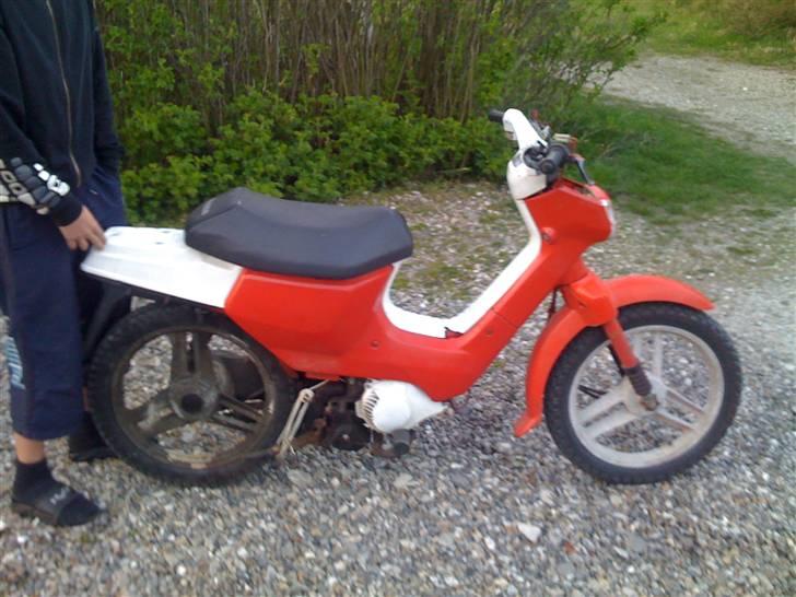 Honda Wallaroo  (solgt) billede 3