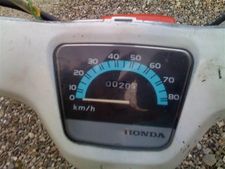 Honda Wallaroo  (solgt) billede 4