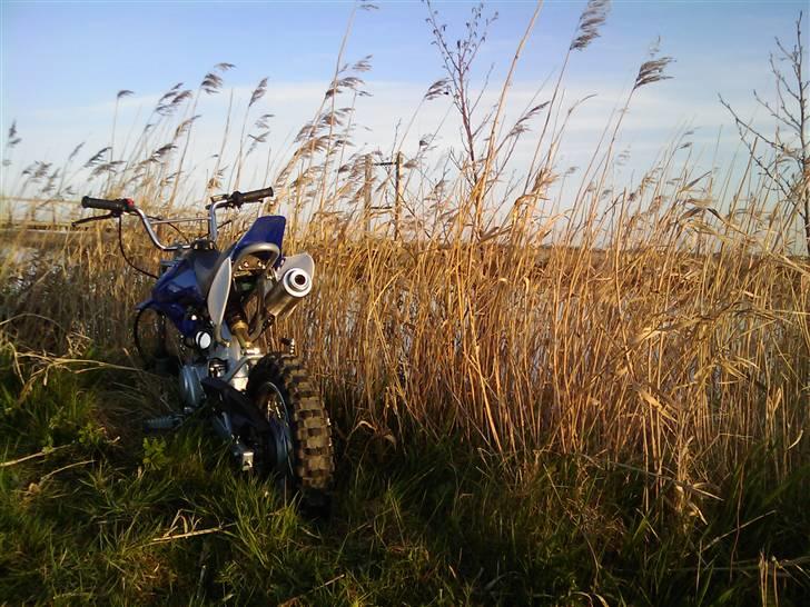 MiniBike 125cc. Crosser "Solgt" billede 17