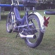 Puch maxi k SOLGT