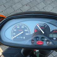 Piaggio typhoon SOLGT ?