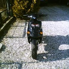 Adly Falcon **Projekt**