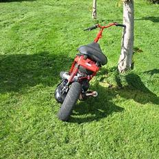 Piaggio "zip" team kirkeby 