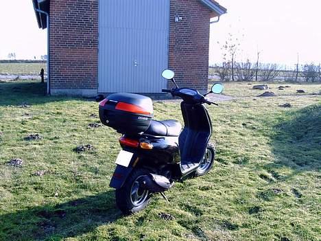 Piaggio Typhoon Solgt - Dårlige billeder billede 3