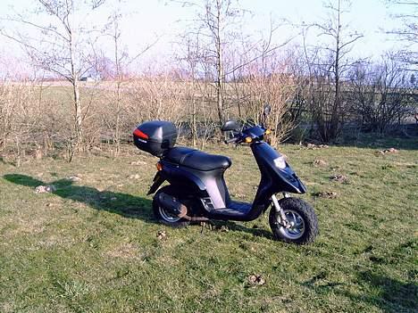 Piaggio Typhoon Solgt - Dårlige billeder billede 4