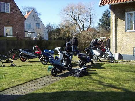 Yamaha Jog Space - Byttet Sonic - Det er sådan min have ser ud når det er godt vejr !! Det ka´ moar nu ikke li´.... billede 4