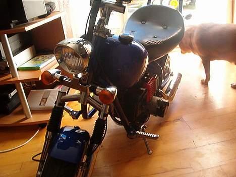 MiniBike lille hd billede 3