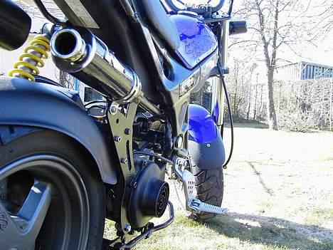 Suzuki Street Magic - Solgt billede 8