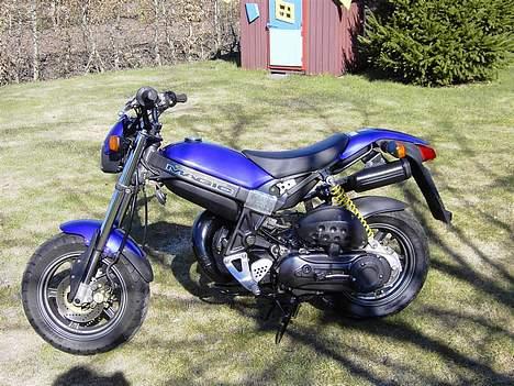 Suzuki Street Magic - Solgt billede 9