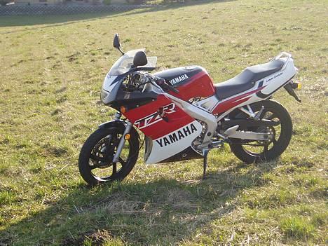Yamaha TZR 50 (SOLGT) billede 1
