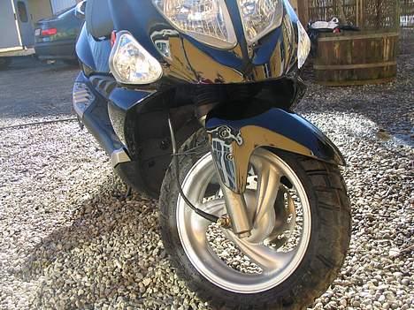 PGO Dr. Big - Gammelt (fra i sommers) billede 3