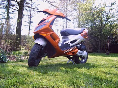 Peugeot speedfight 1 Lc - Peugeot Speedfight 1 lc... billede 1