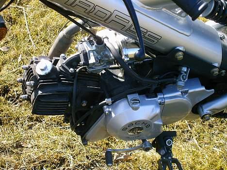 Sachs Madass SOLGT billede 6