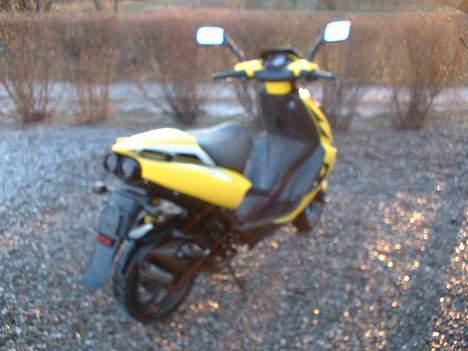 Aprilia Ditech billede 10