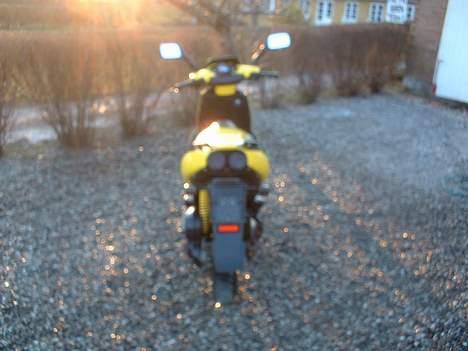 Aprilia Ditech billede 9