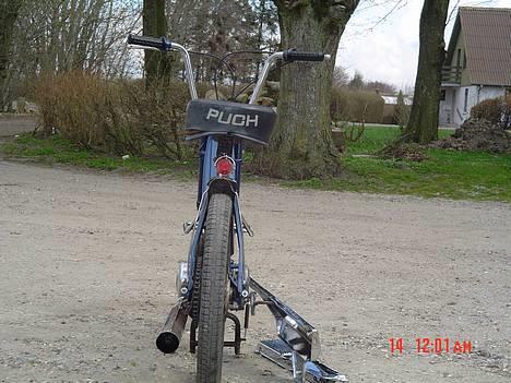Puch Maxi [ Solgt ] - Den forkortede bagskærm med den fede lygte...  billede 4