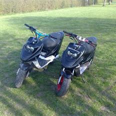 PGO Hot 50 **SOLGT**