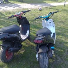 PGO Hot 50 **SOLGT**