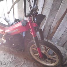 Tomos Quadro 30 Solgt :)