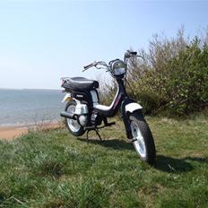 Suzuki Fz 50 (solgt)