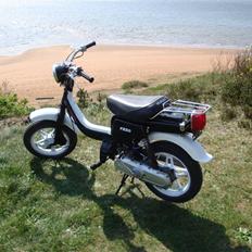 Suzuki Fz 50 (solgt)